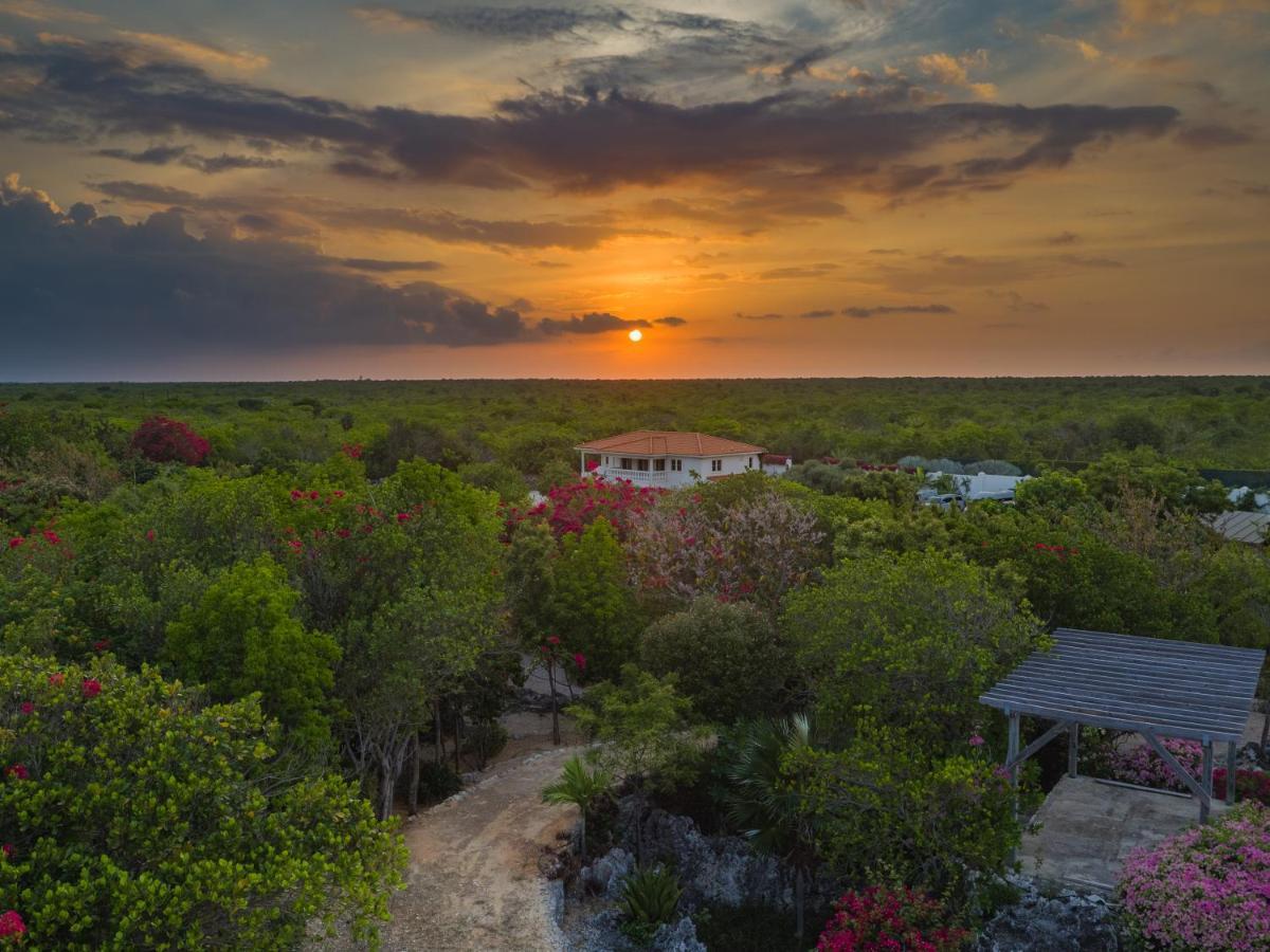 Le Soleil D'Or Otel West End Dış mekan fotoğraf