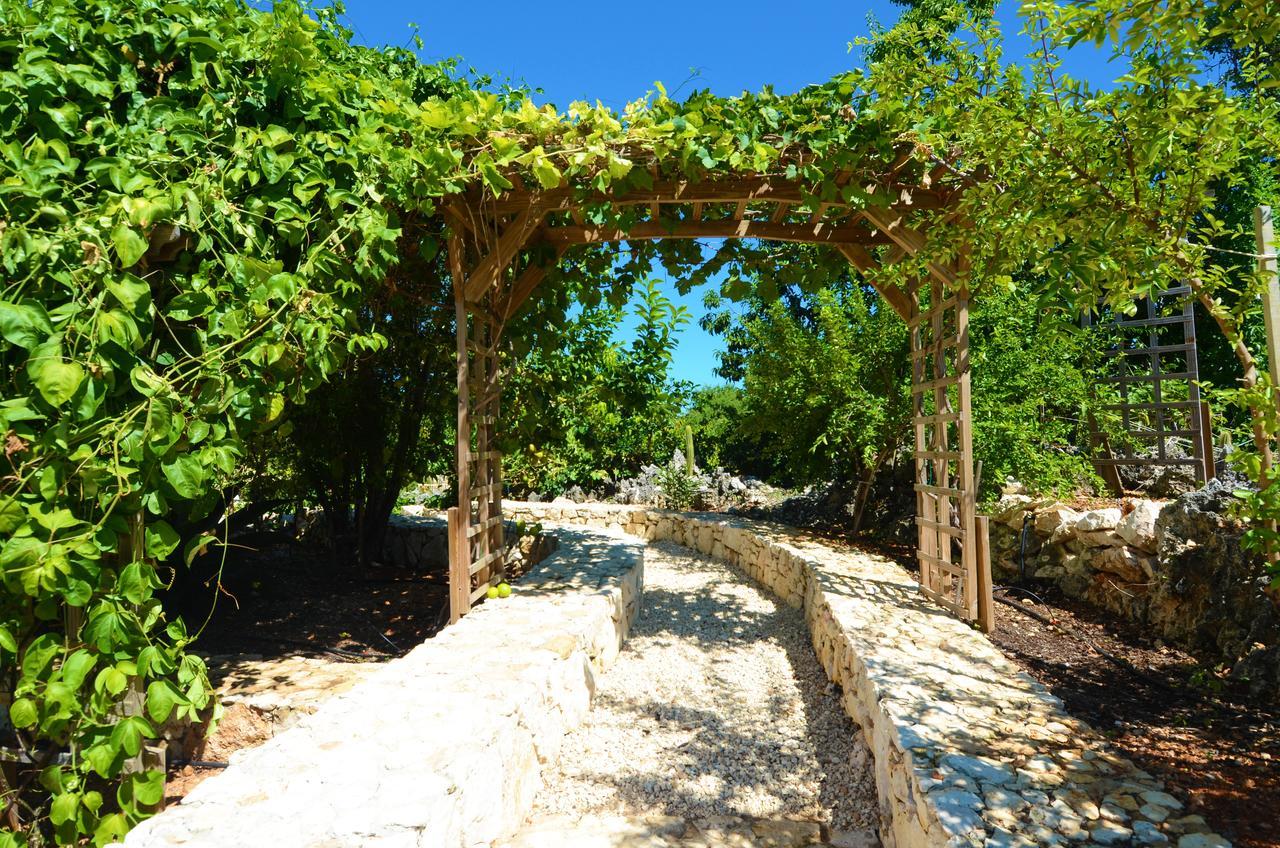 Le Soleil D'Or Otel West End Dış mekan fotoğraf